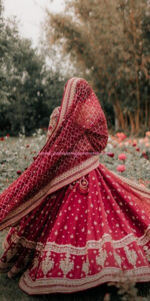 Stunning Red Traditional Pakistani Wedding Dress